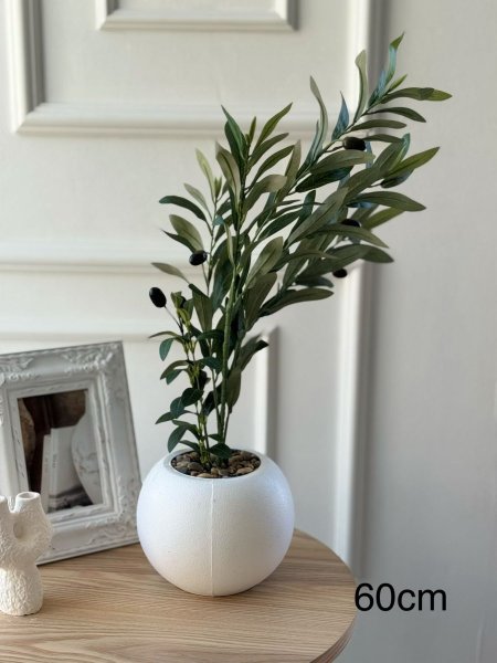 ورد مع قاعده